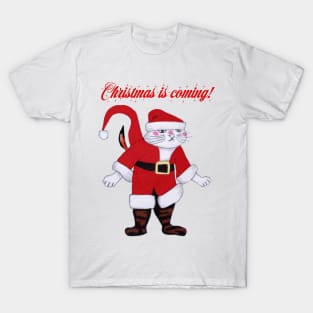 Christmas is Coming Santa cat T-Shirt